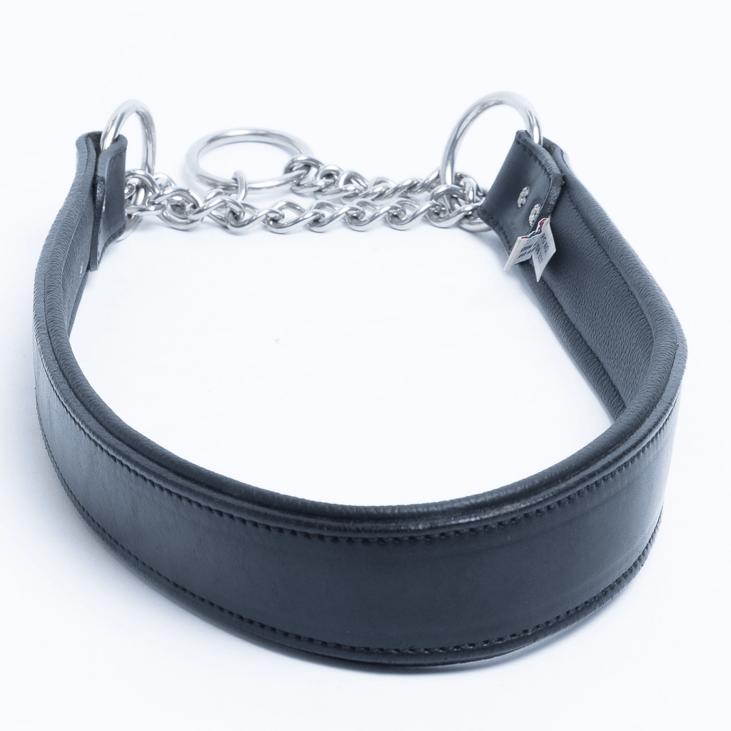 Glamorous Pups : Rio Leather Martingale Training Collar – Genuine Argentinean Leather, Soft Padded Interior & Humane Anti-Pull Design for Small to XL Dogs