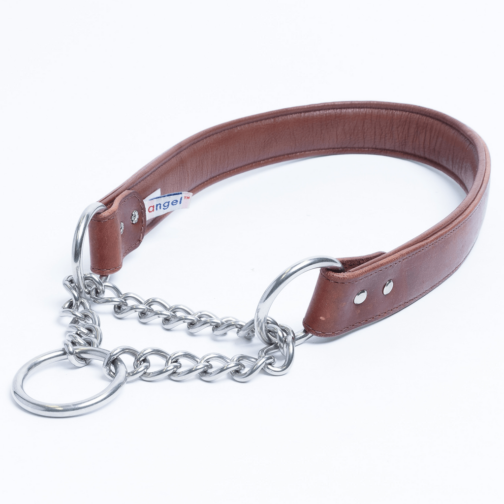 Glamorous Pups : Rio Leather Martingale Training Collar – Genuine Argentinean Leather, Soft Padded Interior & Humane Anti-Pull Design for Small to XL Dogs