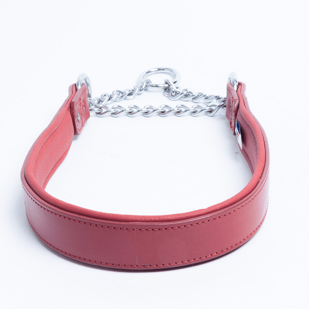 Glamorous Pups : Rio Leather Martingale Training Collar – Genuine Argentinean Leather, Soft Padded Interior & Humane Anti-Pull Design for Small to XL Dogs
