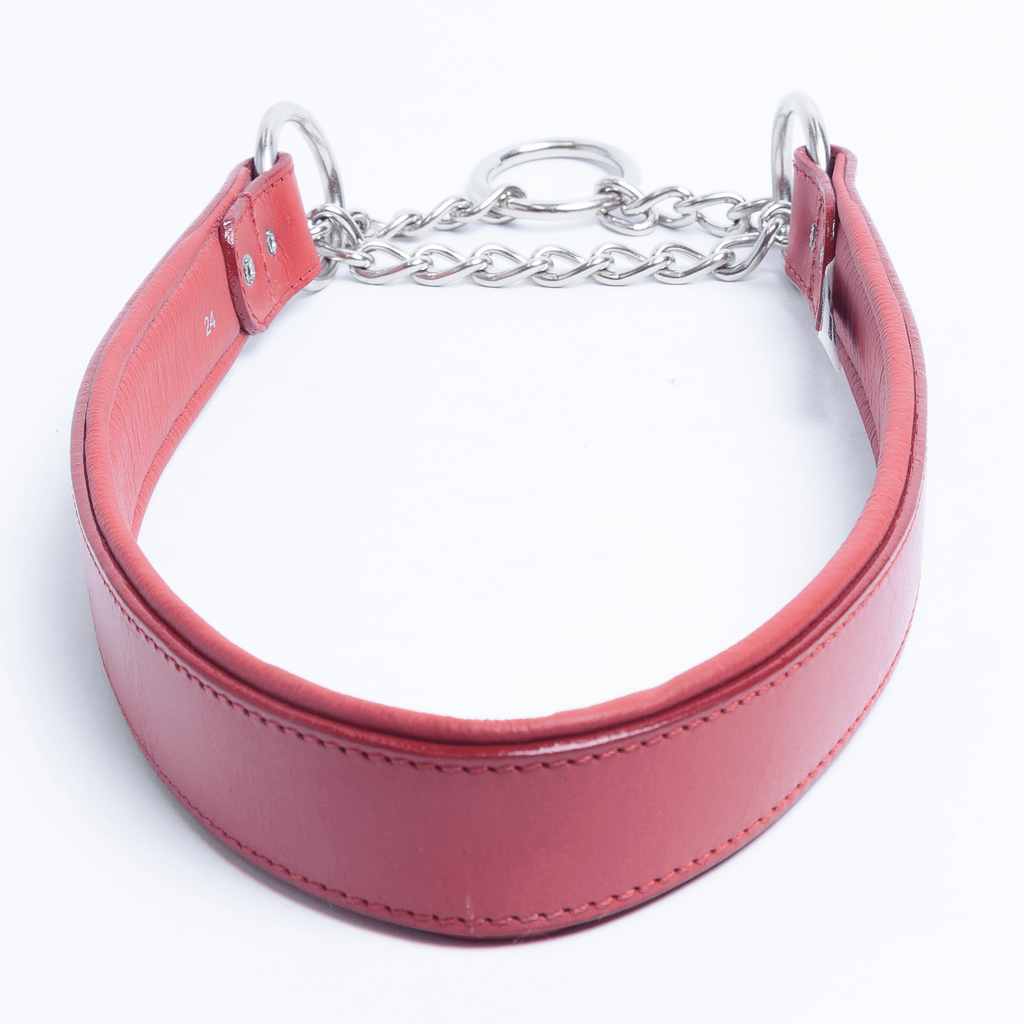 Glamorous Pups : Rio Leather Martingale Training Collar – Genuine Argentinean Leather, Soft Padded Interior & Humane Anti-Pull Design for Small to XL Dogs