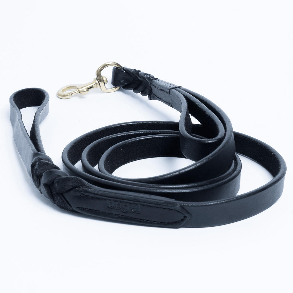 Glamorous Pups : Braided Leash Double handle