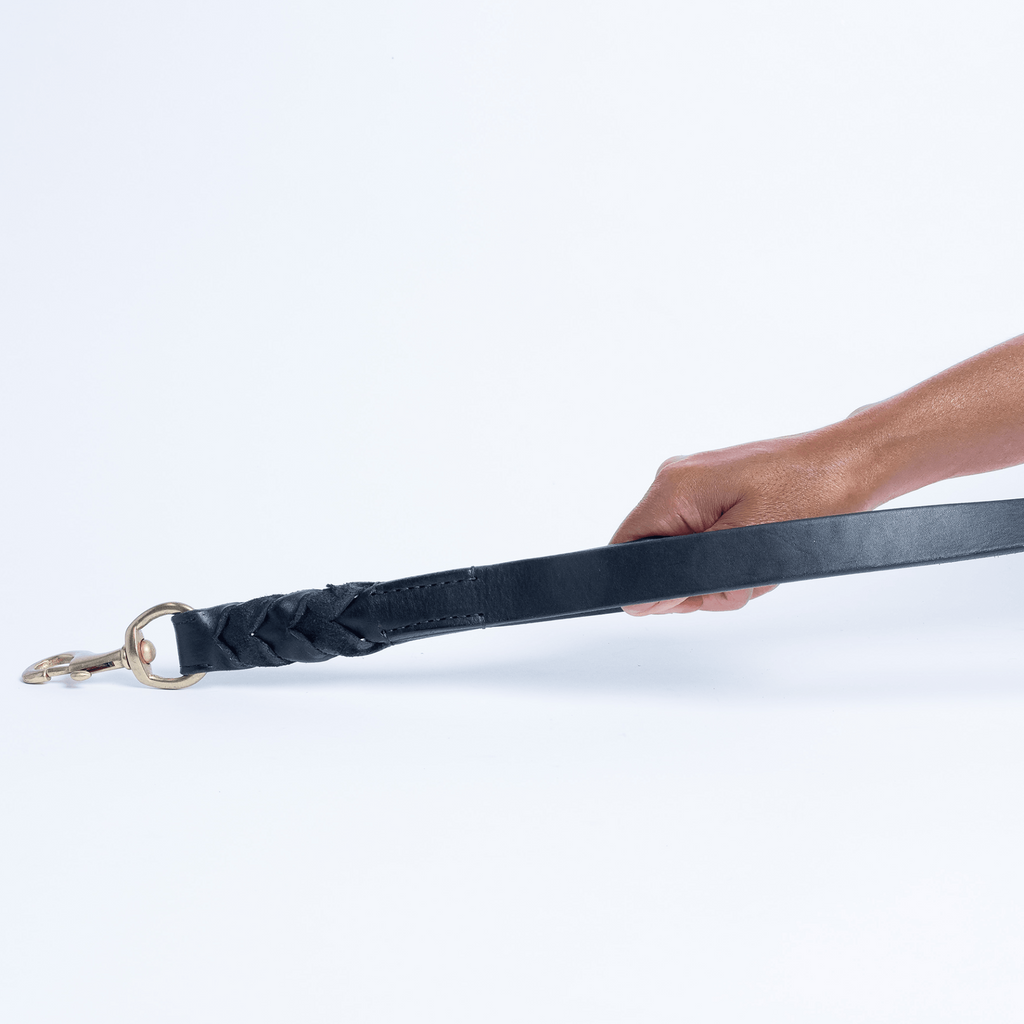 Glamorous Pups : Braided Leash Double handle