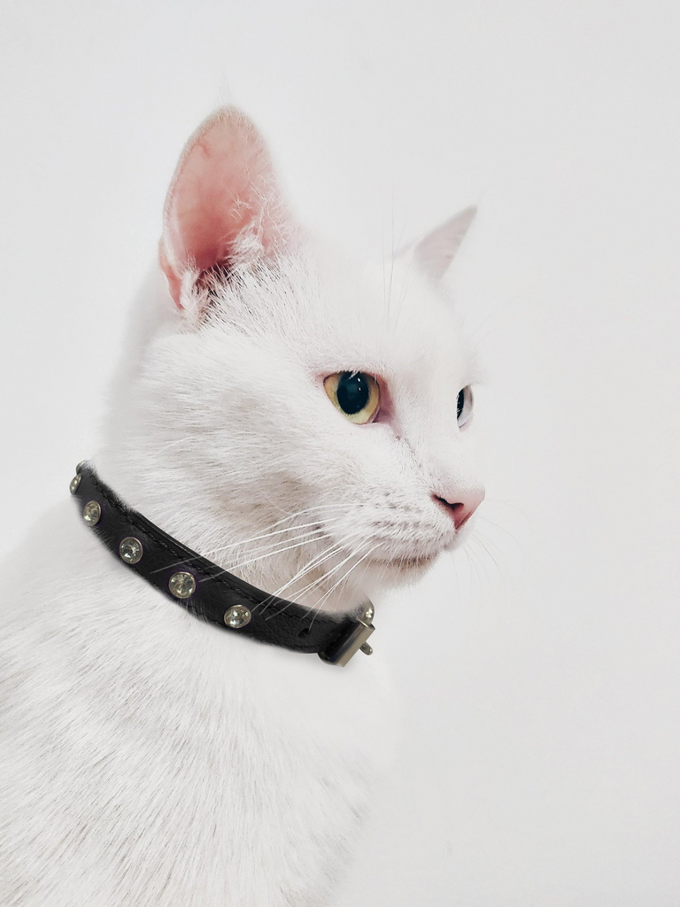 Glamorous Pups : Athens Rhinestone Cat Collar – Genuine Leather Sparkle Collar with Breakaway Safety & Bell