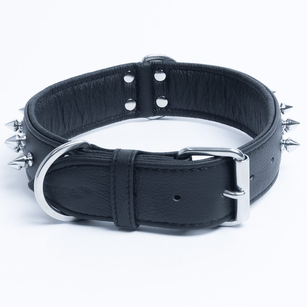 Glamorous Pups : Amsterdam Multi-Line Spiked Leather Dog Collar – Luxury Genuine Leather Power Collar with Stainless Steel Hardware