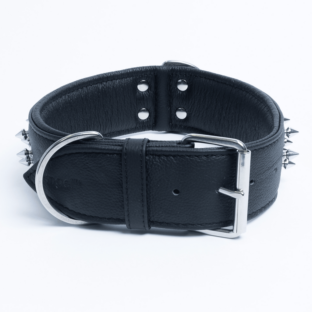 Glamorous Pups : Amsterdam Multi-Line Spiked Leather Dog Collar – Luxury Genuine Leather Power Collar with Stainless Steel Hardware