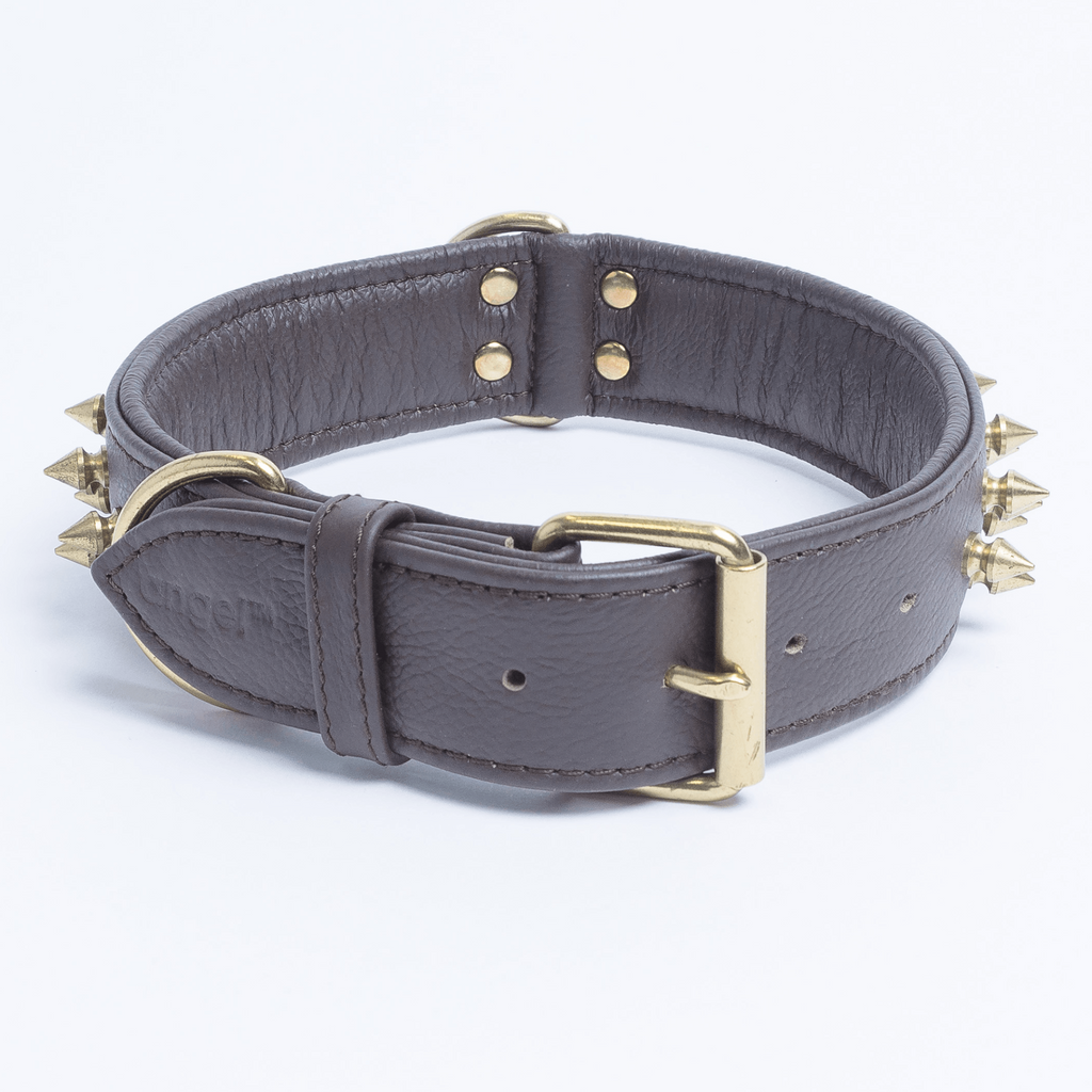 Glamorous Pups : Amsterdam Multi-Line Spiked Leather Dog Collar – Luxury Genuine Leather Power Collar with Stainless Steel Hardware