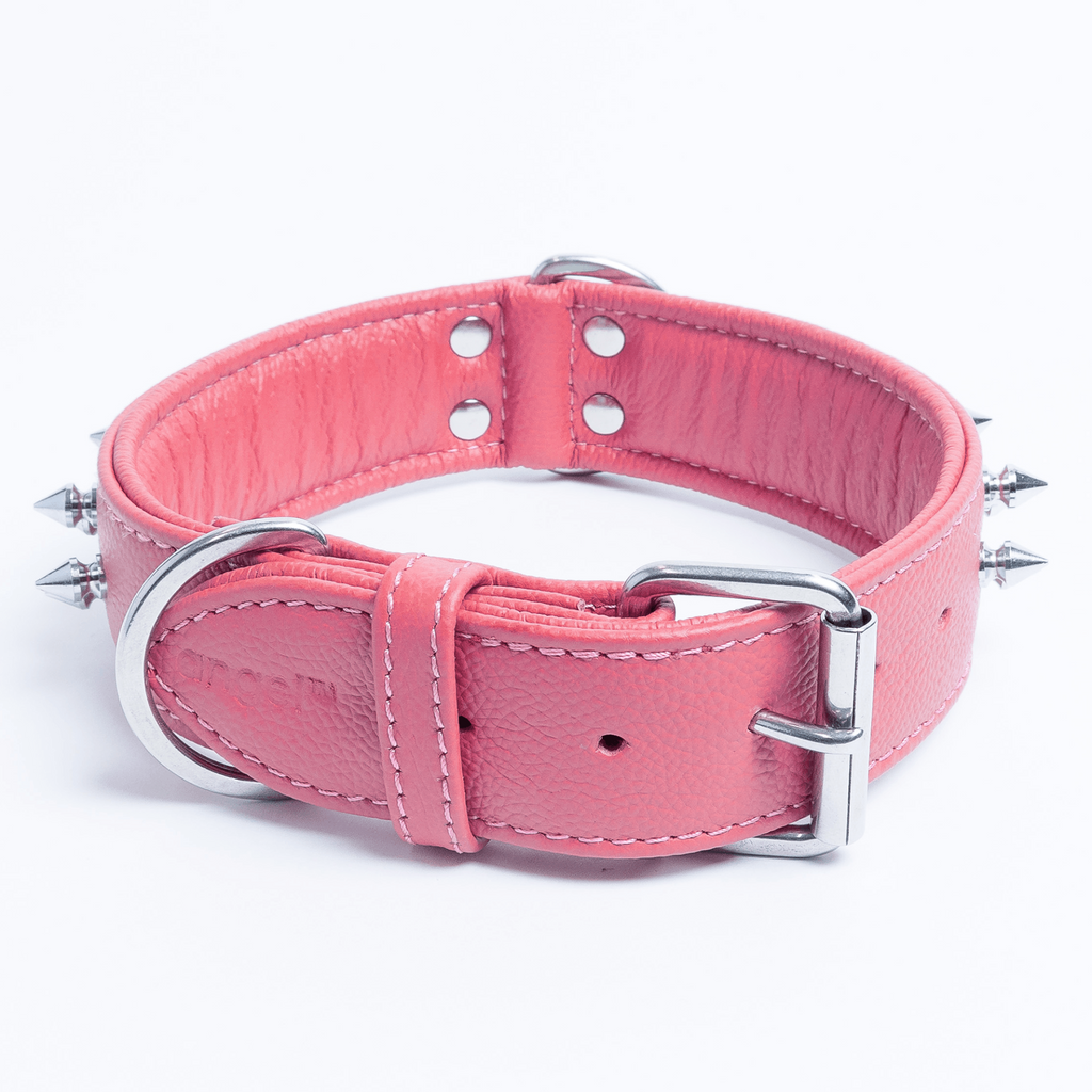 Glamorous Pups : Amsterdam Multi-Line Spiked Leather Dog Collar – Luxury Genuine Leather Power Collar with Stainless Steel Hardware