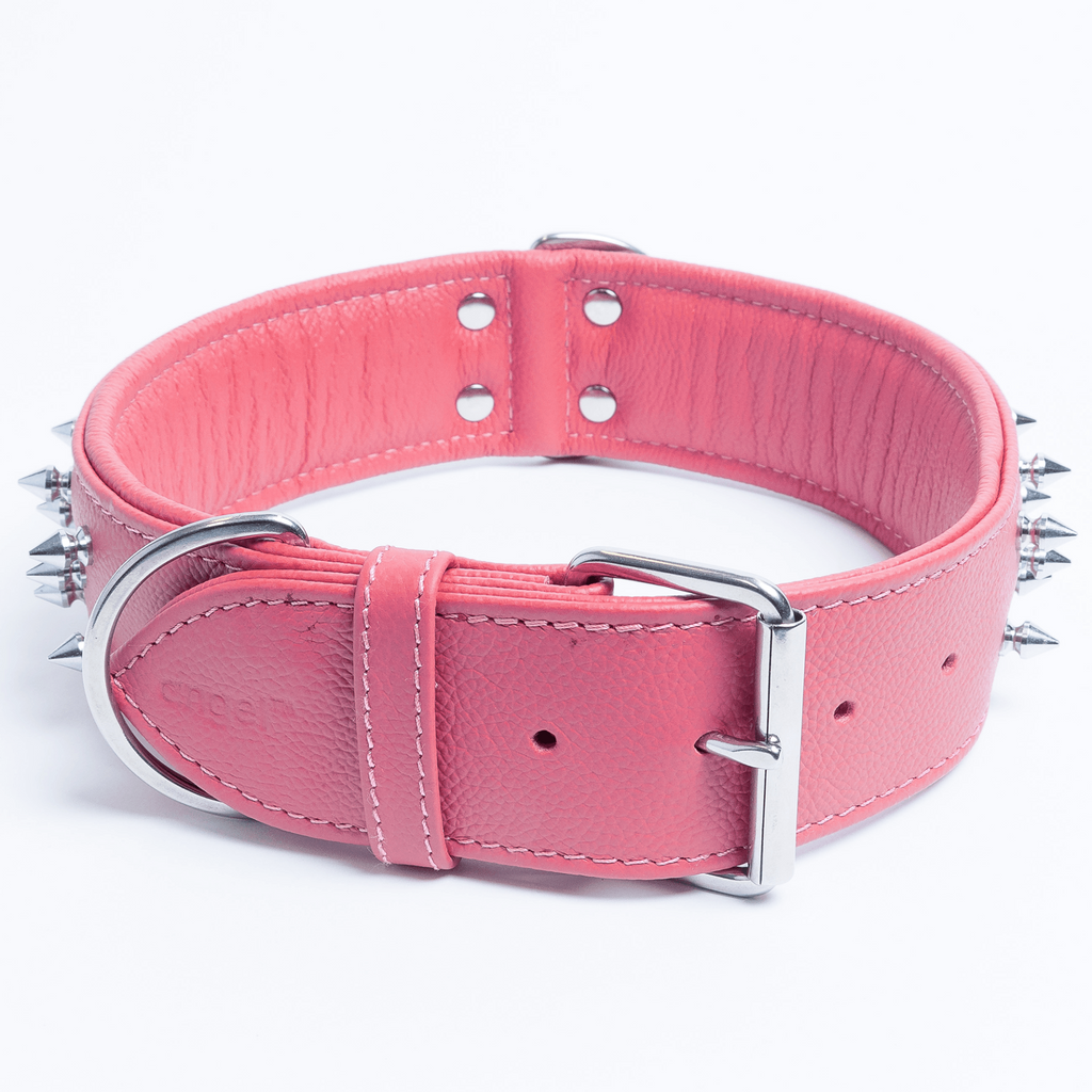 Glamorous Pups : Amsterdam Multi-Line Spiked Leather Dog Collar – Luxury Genuine Leather Power Collar with Stainless Steel Hardware