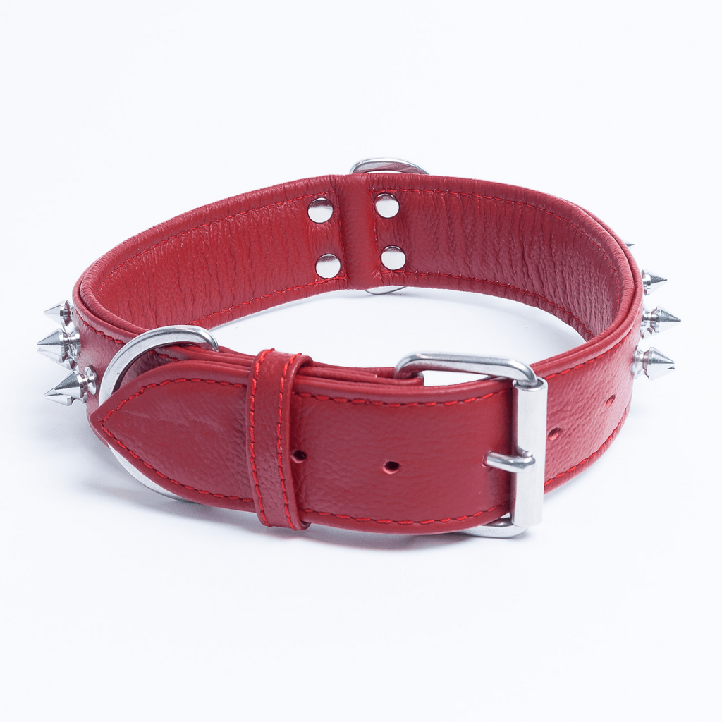 Glamorous Pups : Amsterdam Multi-Line Spiked Leather Dog Collar – Luxury Genuine Leather Power Collar with Stainless Steel Hardware