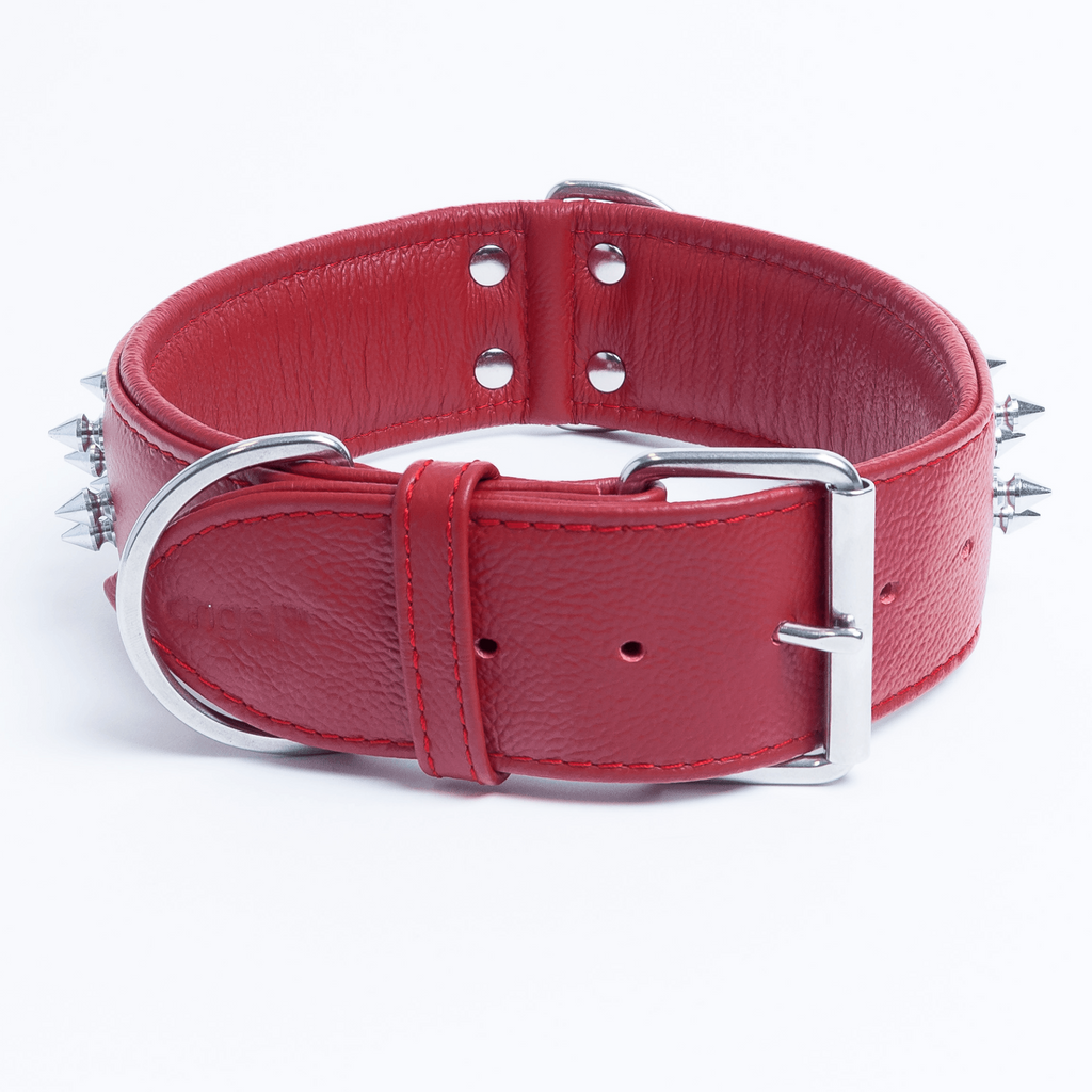 Glamorous Pups : Amsterdam Multi-Line Spiked Leather Dog Collar – Luxury Genuine Leather Power Collar with Stainless Steel Hardware