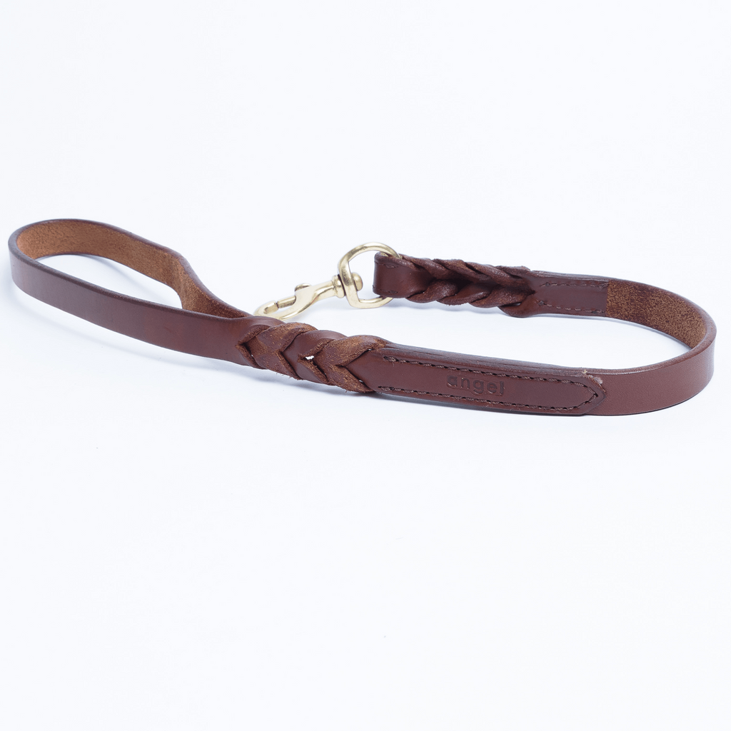 Glamorous Pups : Braided Traffic Leash