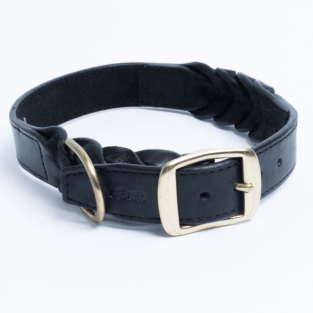 Glamorous Pups : Braided Collar