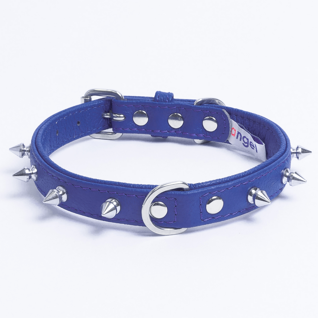 Glamorous Pups : Rotterdam Spiked Leather Dog Collar – Bold Chrome Spikes & Premium Leather Style