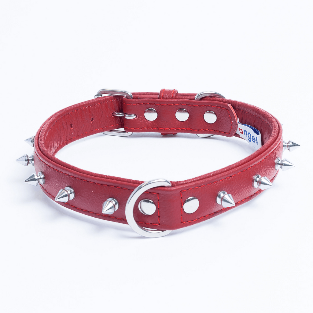 Glamorous Pups : Rotterdam Spiked Leather Dog Collar – Bold Chrome Spikes & Premium Leather Style