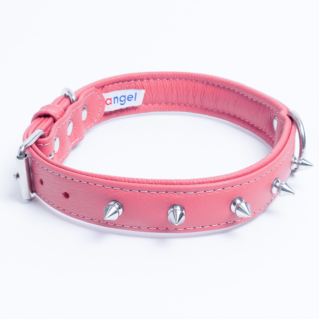 Glamorous Pups : Rotterdam Spiked Leather Dog Collar – Bold Chrome Spikes & Premium Leather Style
