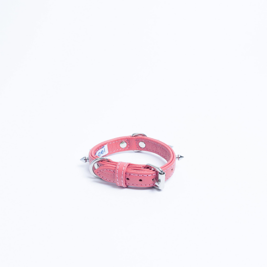 Glamorous Pups : Rotterdam Spiked Leather Dog Collar – Bold Chrome Spikes & Premium Leather Style