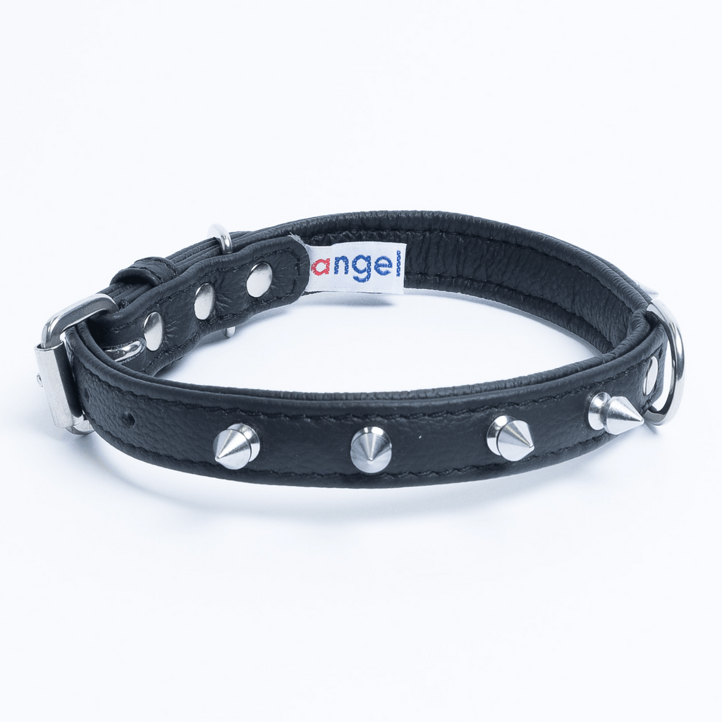 Glamorous Pups : Rotterdam Spiked Leather Dog Collar – Bold Chrome Spikes & Premium Leather Style