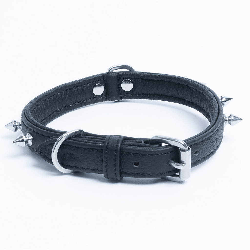 Glamorous Pups : Rotterdam Spiked Leather Dog Collar – Bold Chrome Spikes & Premium Leather Style