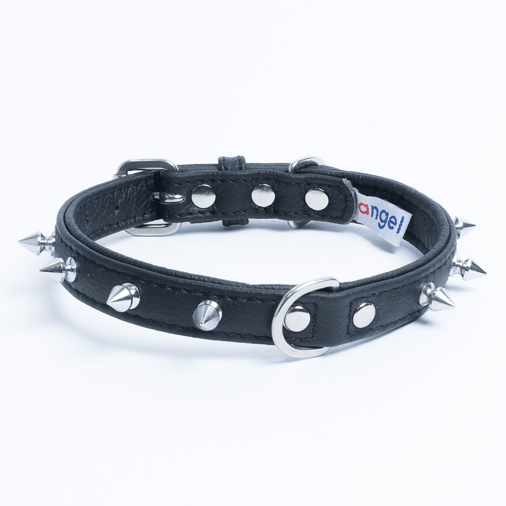 Glamorous Pups : Rotterdam Spiked Leather Dog Collar – Bold Chrome Spikes & Premium Leather Style