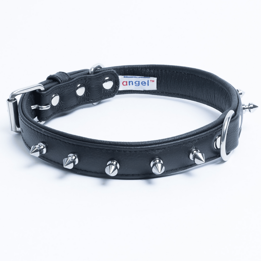 Glamorous Pups : Rotterdam Spiked Leather Dog Collar – Bold Chrome Spikes & Premium Leather Style