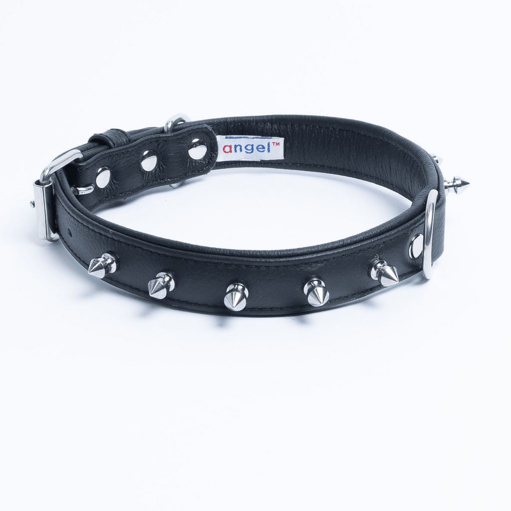 Glamorous Pups : Rotterdam Spiked Leather Dog Collar – Bold Chrome Spikes & Premium Leather Style