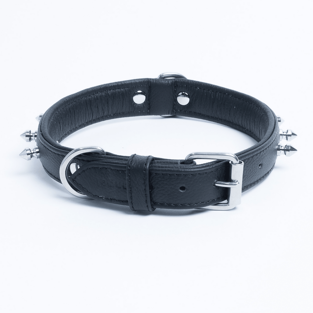 Glamorous Pups : Rotterdam Spiked Leather Dog Collar – Bold Chrome Spikes & Premium Leather Style