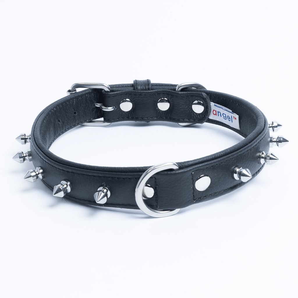 Glamorous Pups : Rotterdam Spiked Leather Dog Collar – Bold Chrome Spikes & Premium Leather Style