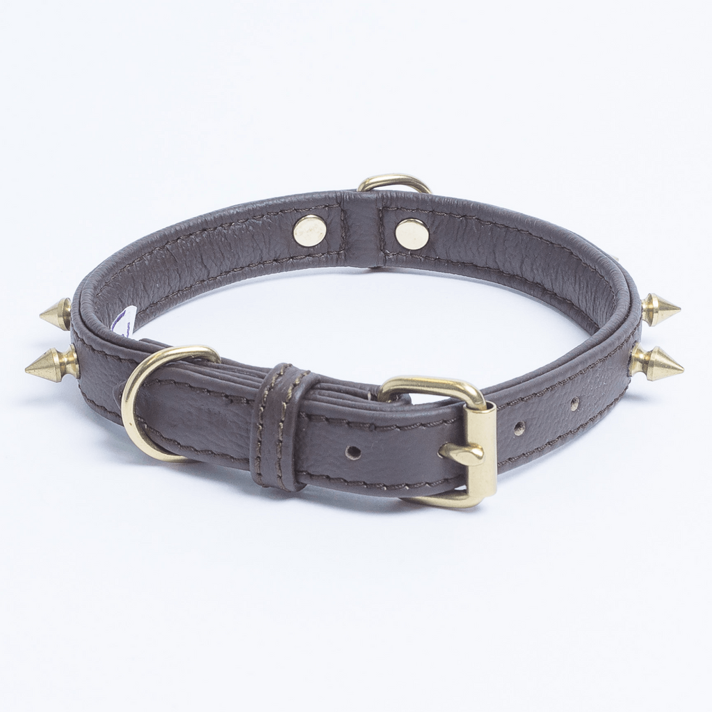 Glamorous Pups : Rotterdam Spiked Leather Dog Collar – Bold Chrome Spikes & Premium Leather Style
