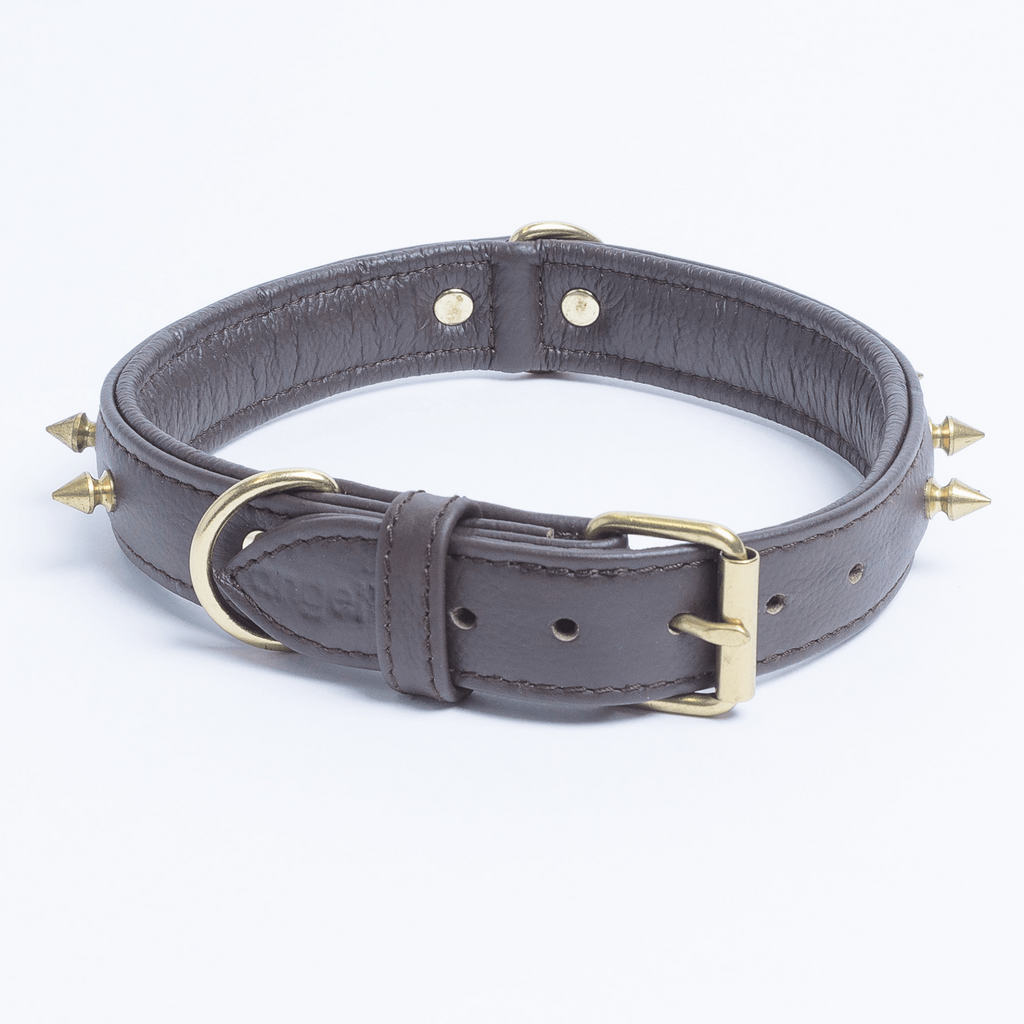 Glamorous Pups : Rotterdam Spiked Leather Dog Collar – Bold Chrome Spikes & Premium Leather Style