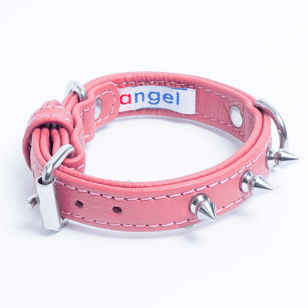 Glamorous Pups : Rotterdam Spiked Leather Dog Collar – Bold Chrome Spikes & Premium Leather Style