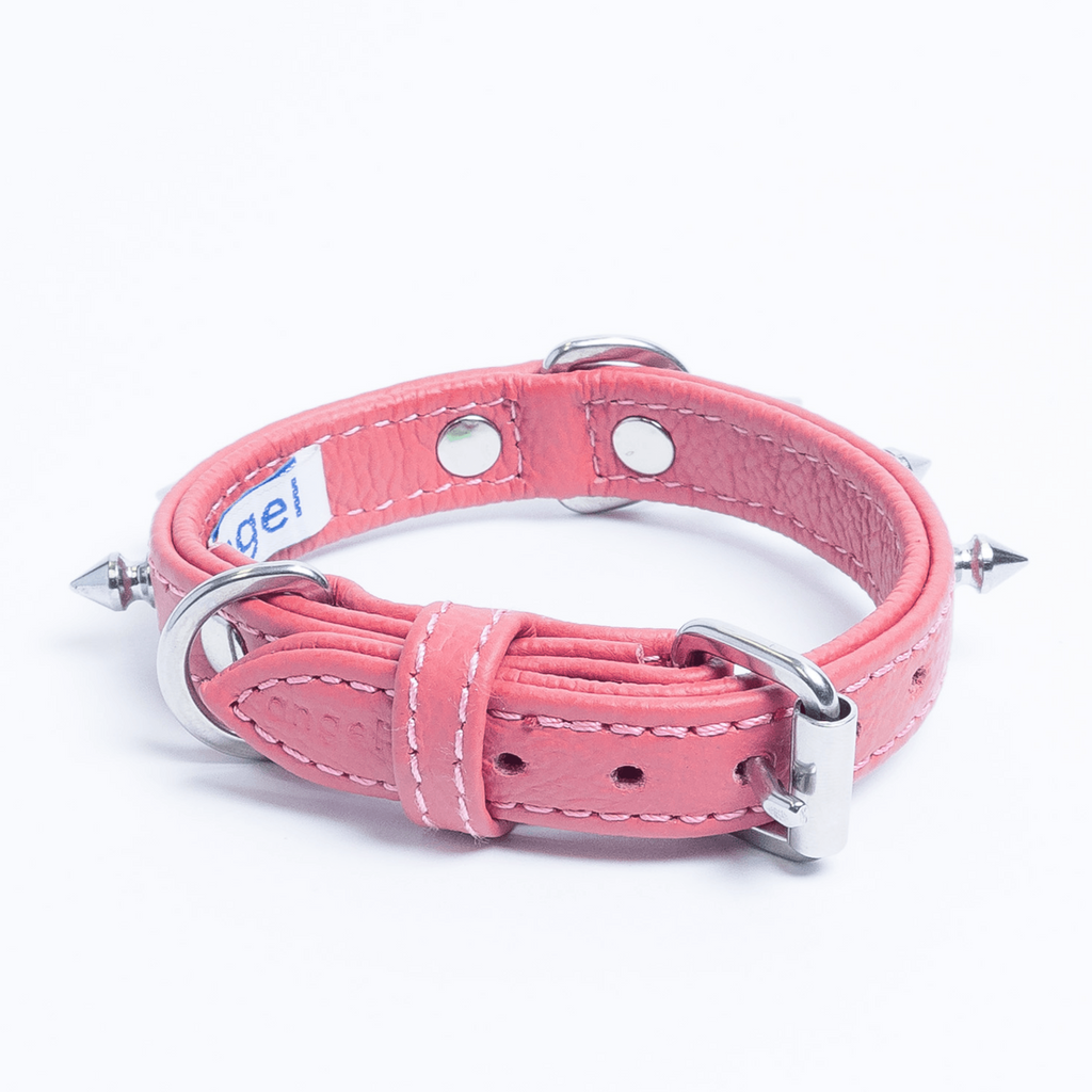 Glamorous Pups : Rotterdam Spiked Leather Dog Collar – Bold Chrome Spikes & Premium Leather Style