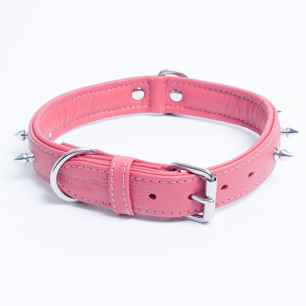 Glamorous Pups : Rotterdam Spiked Leather Dog Collar – Bold Chrome Spikes & Premium Leather Style