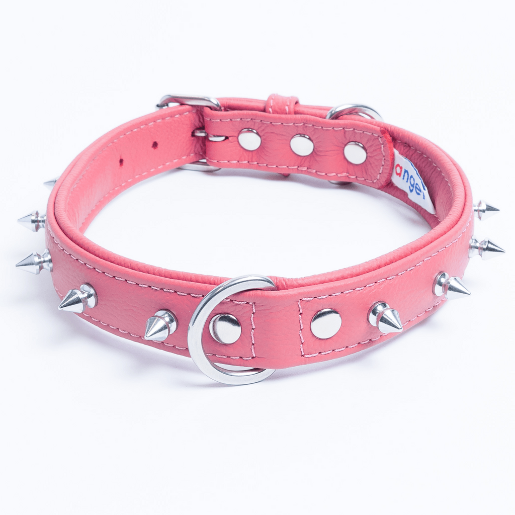 Glamorous Pups : Rotterdam Spiked Leather Dog Collar – Bold Chrome Spikes & Premium Leather Style