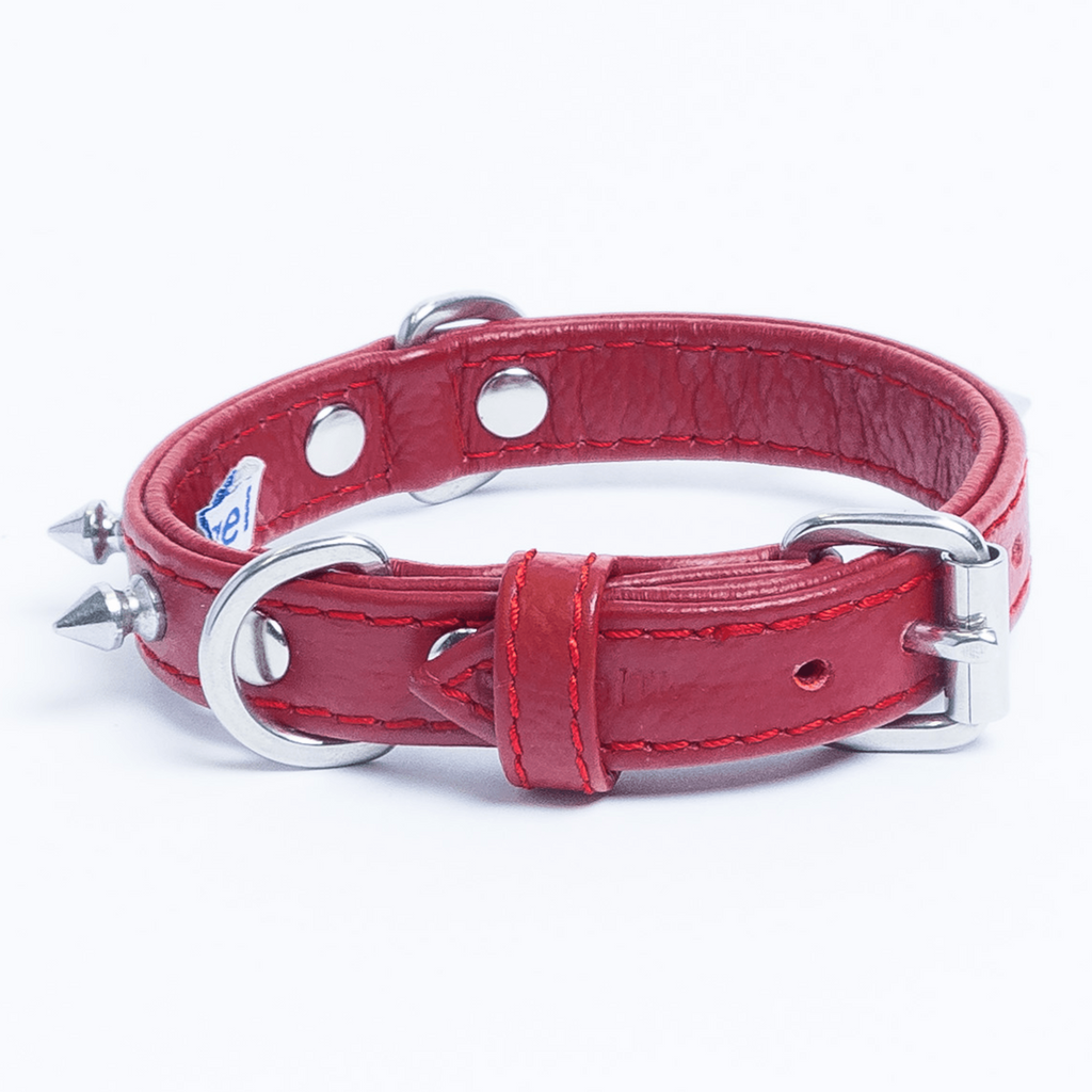 Glamorous Pups : Rotterdam Spiked Leather Dog Collar – Bold Chrome Spikes & Premium Leather Style