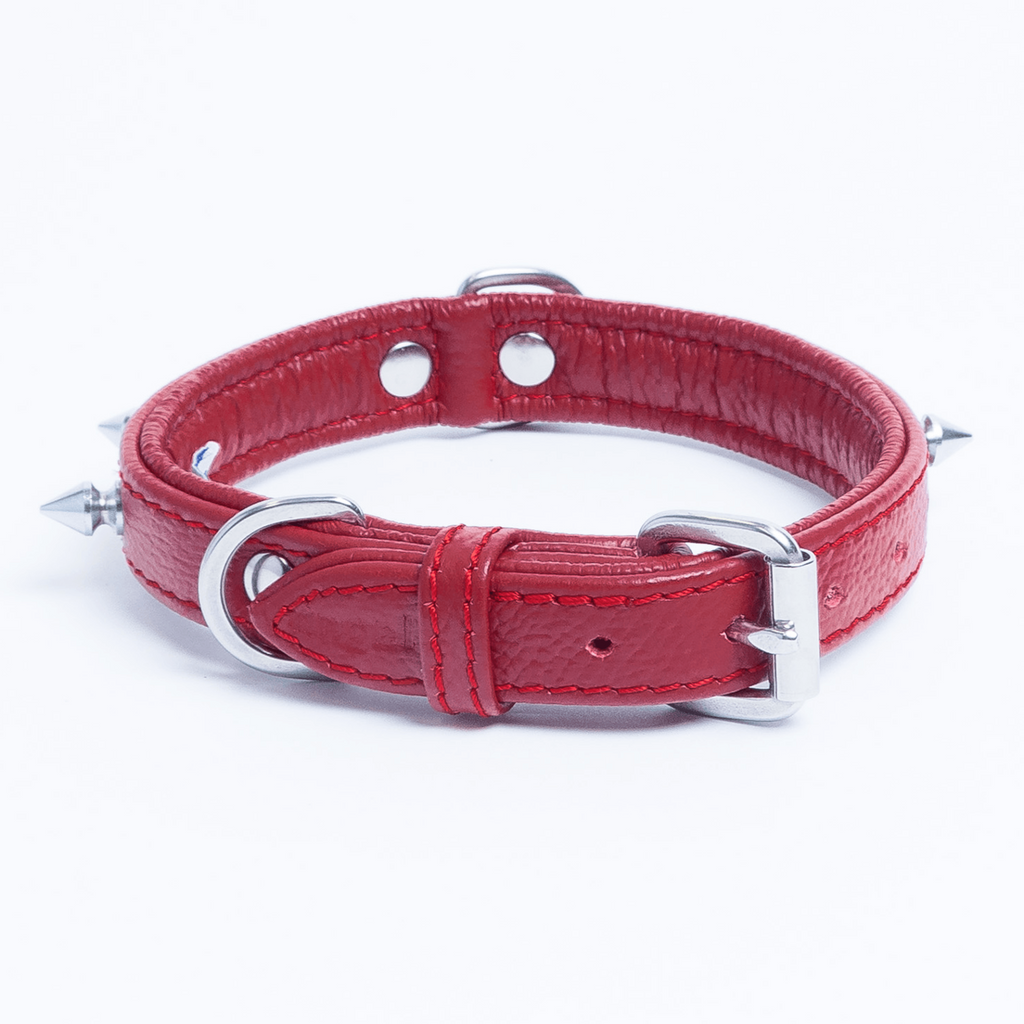 Glamorous Pups : Rotterdam Spiked Leather Dog Collar – Bold Chrome Spikes & Premium Leather Style