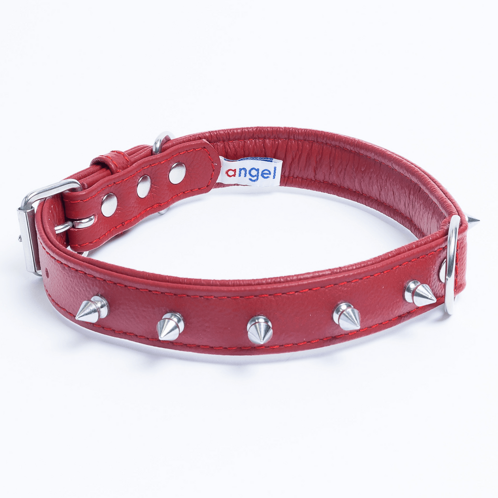 Glamorous Pups : Rotterdam Spiked Leather Dog Collar – Bold Chrome Spikes & Premium Leather Style