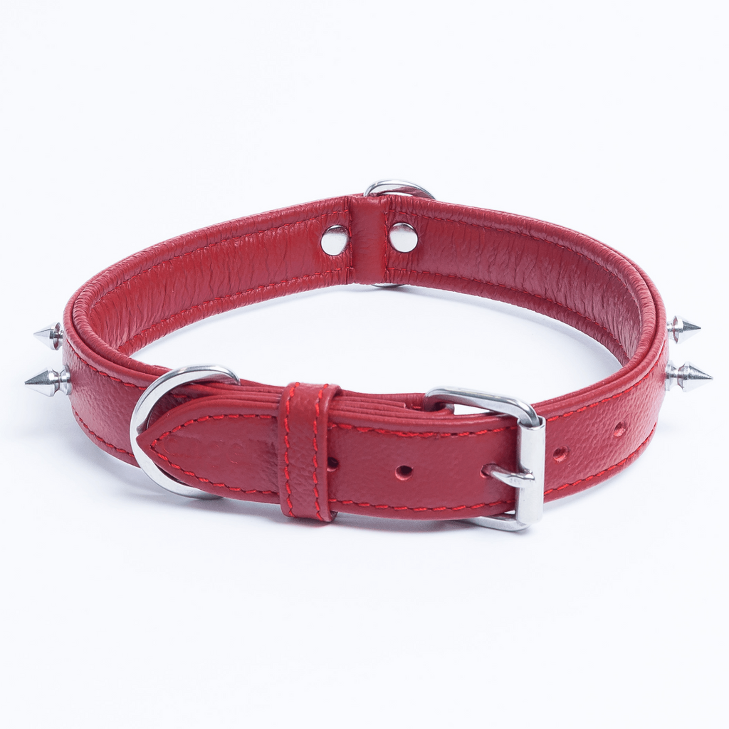 Glamorous Pups : Rotterdam Spiked Leather Dog Collar – Bold Chrome Spikes & Premium Leather Style