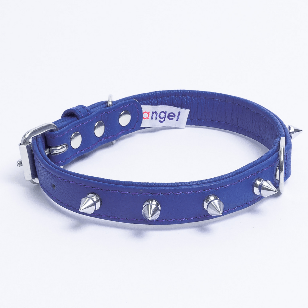 Glamorous Pups : Rotterdam Spiked Leather Dog Collar – Bold Chrome Spikes & Premium Leather Style