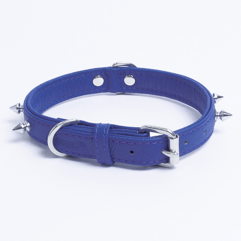 Glamorous Pups : Rotterdam Spiked Leather Dog Collar – Bold Chrome Spikes & Premium Leather Style