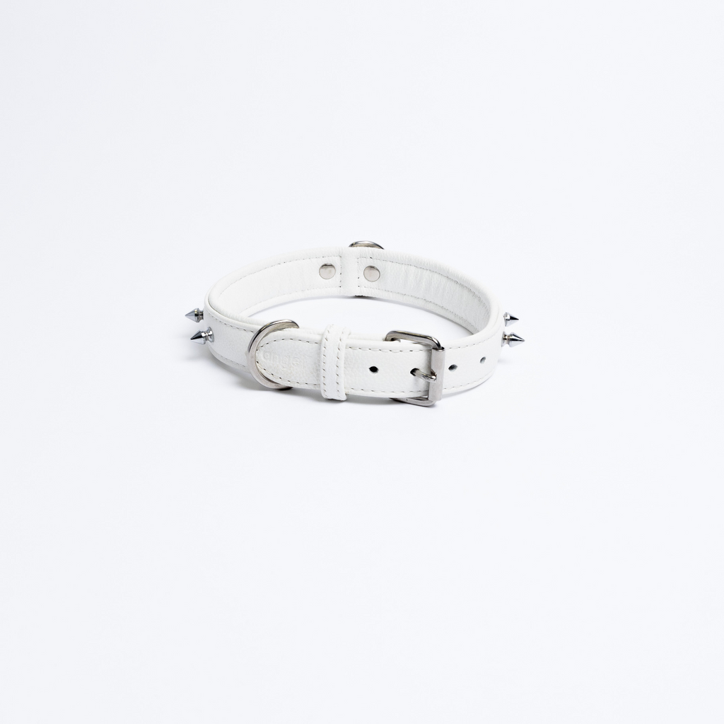 Glamorous Pups : Rotterdam Spiked Leather Dog Collar – Bold Chrome Spikes & Premium Leather Style