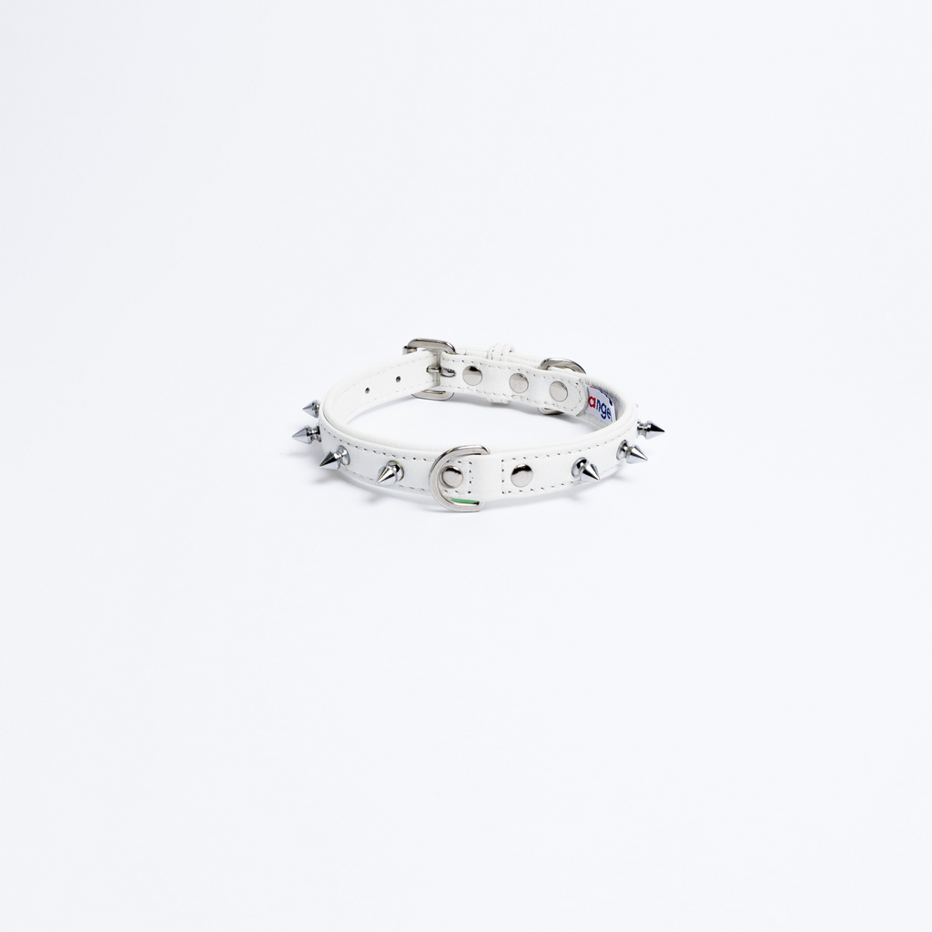 Glamorous Pups : Rotterdam Spiked Leather Dog Collar – Bold Chrome Spikes & Premium Leather Style