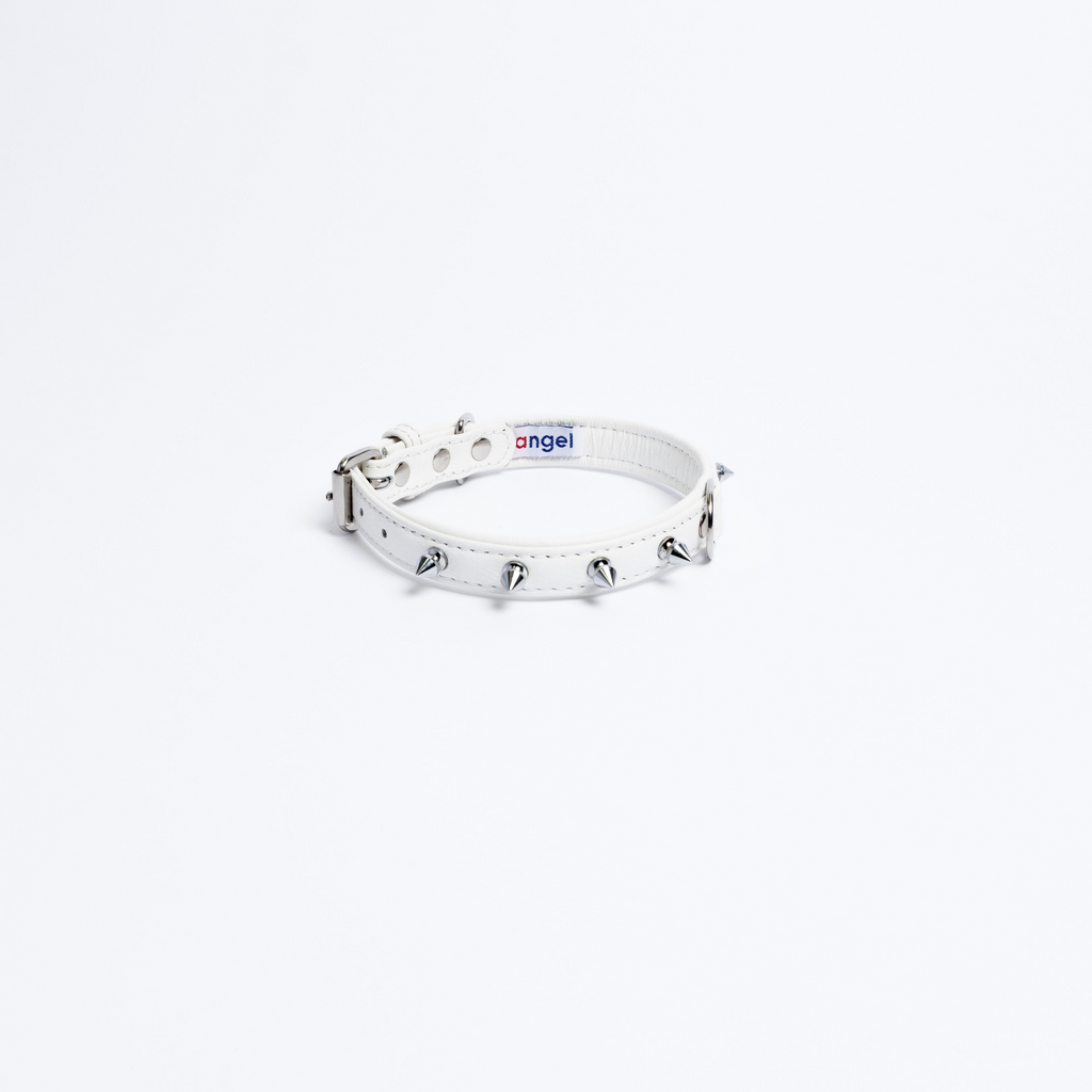 Glamorous Pups : Rotterdam Spiked Leather Dog Collar – Bold Chrome Spikes & Premium Leather Style