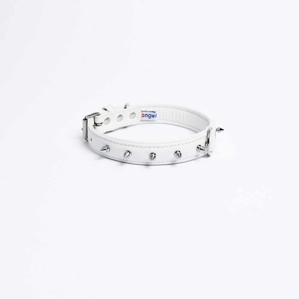 Glamorous Pups : Rotterdam Spiked Leather Dog Collar – Bold Chrome Spikes & Premium Leather Style