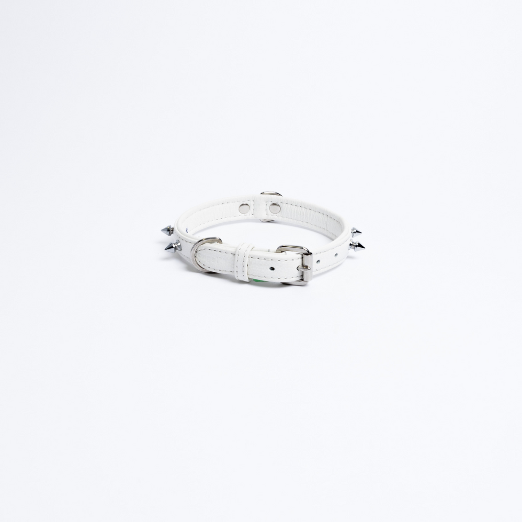 Glamorous Pups : Rotterdam Spiked Leather Dog Collar – Bold Chrome Spikes & Premium Leather Style