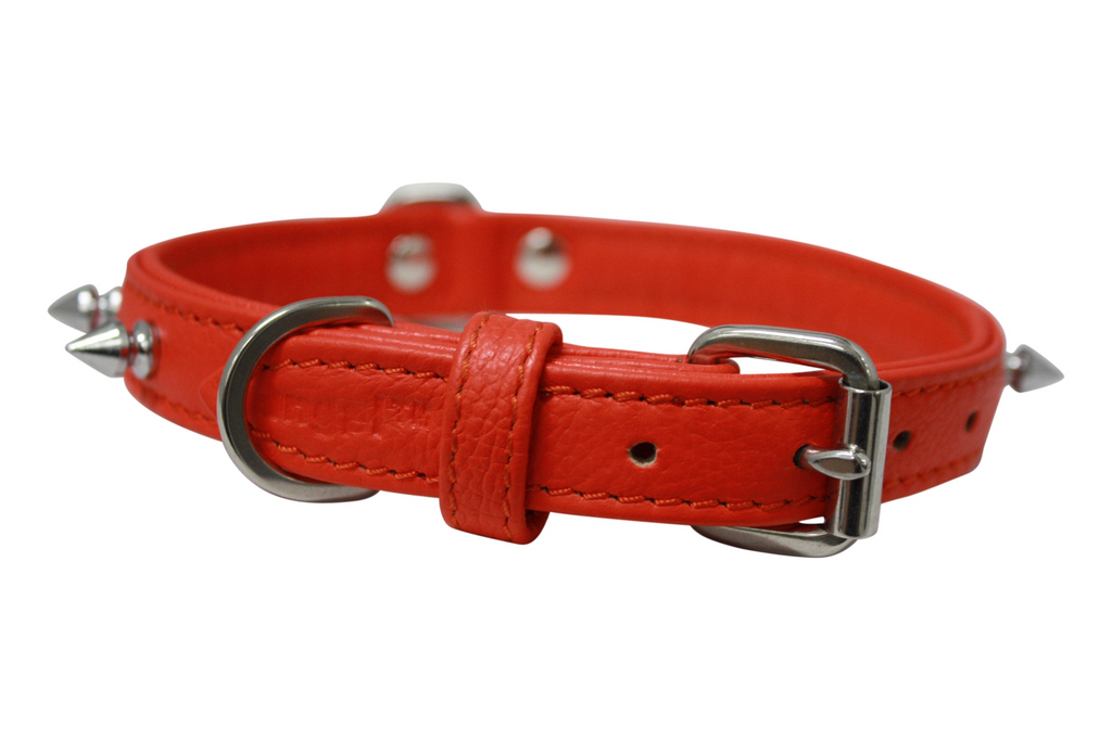Glamorous Pups : Rotterdam Spiked Leather Dog Collar – Bold Chrome Spikes & Premium Leather Style