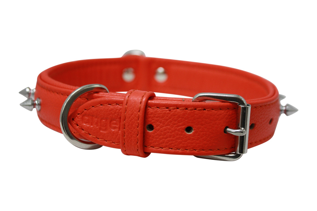 Glamorous Pups : Rotterdam Spiked Leather Dog Collar – Bold Chrome Spikes & Premium Leather Style