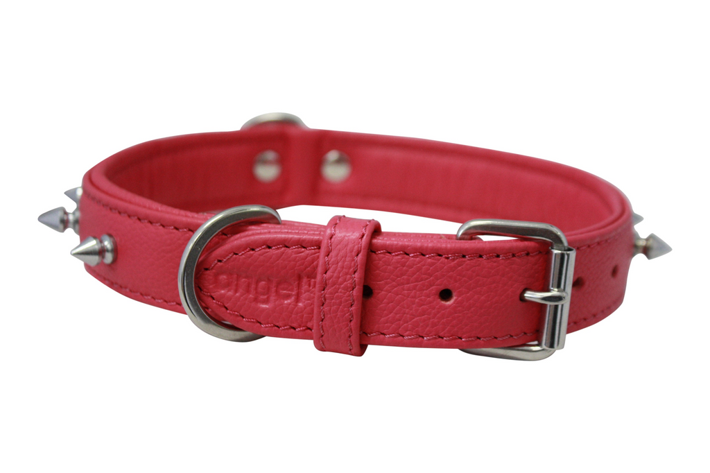 Glamorous Pups : Rotterdam Spiked Leather Dog Collar – Bold Chrome Spikes & Premium Leather Style