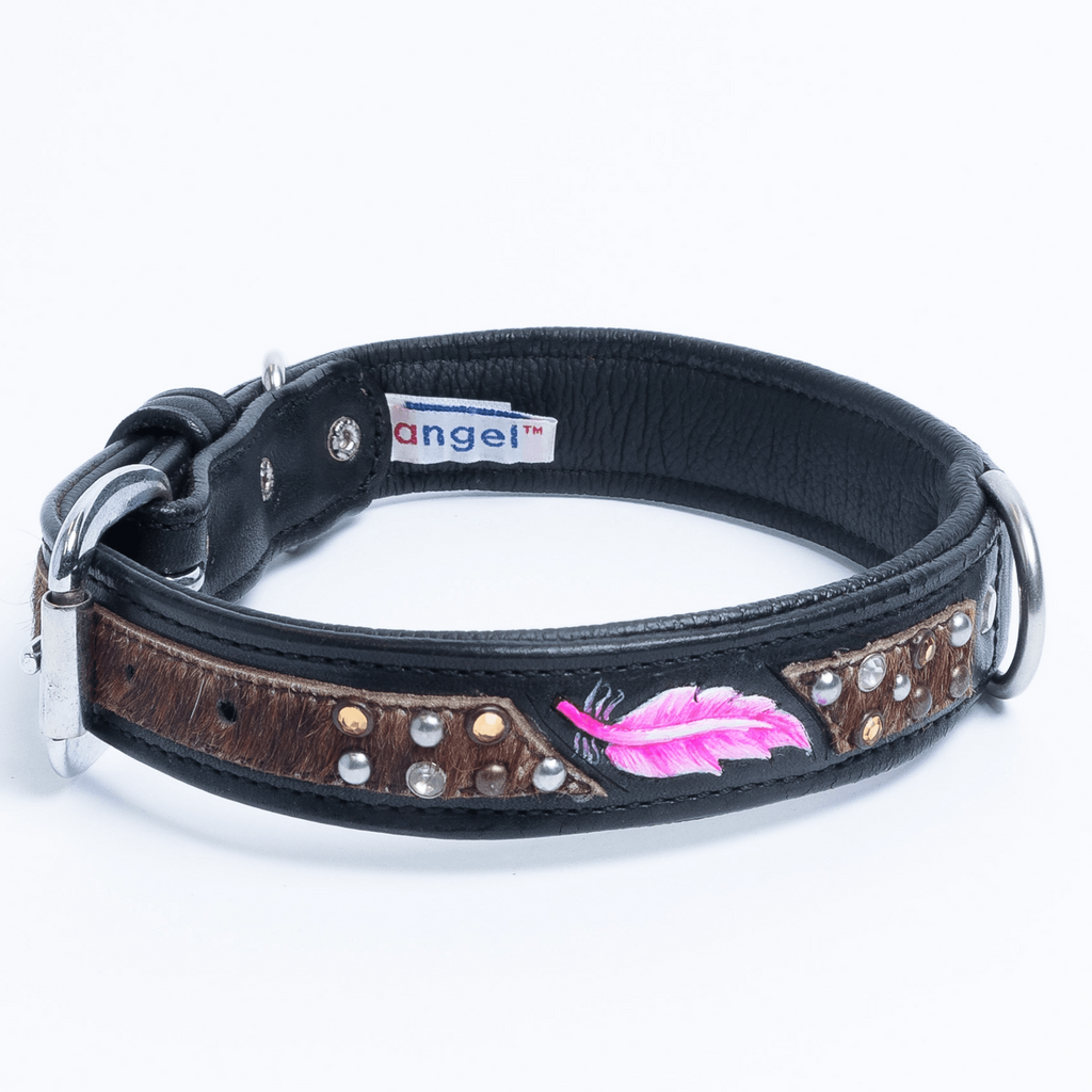 Glamorous Pups : Sedona