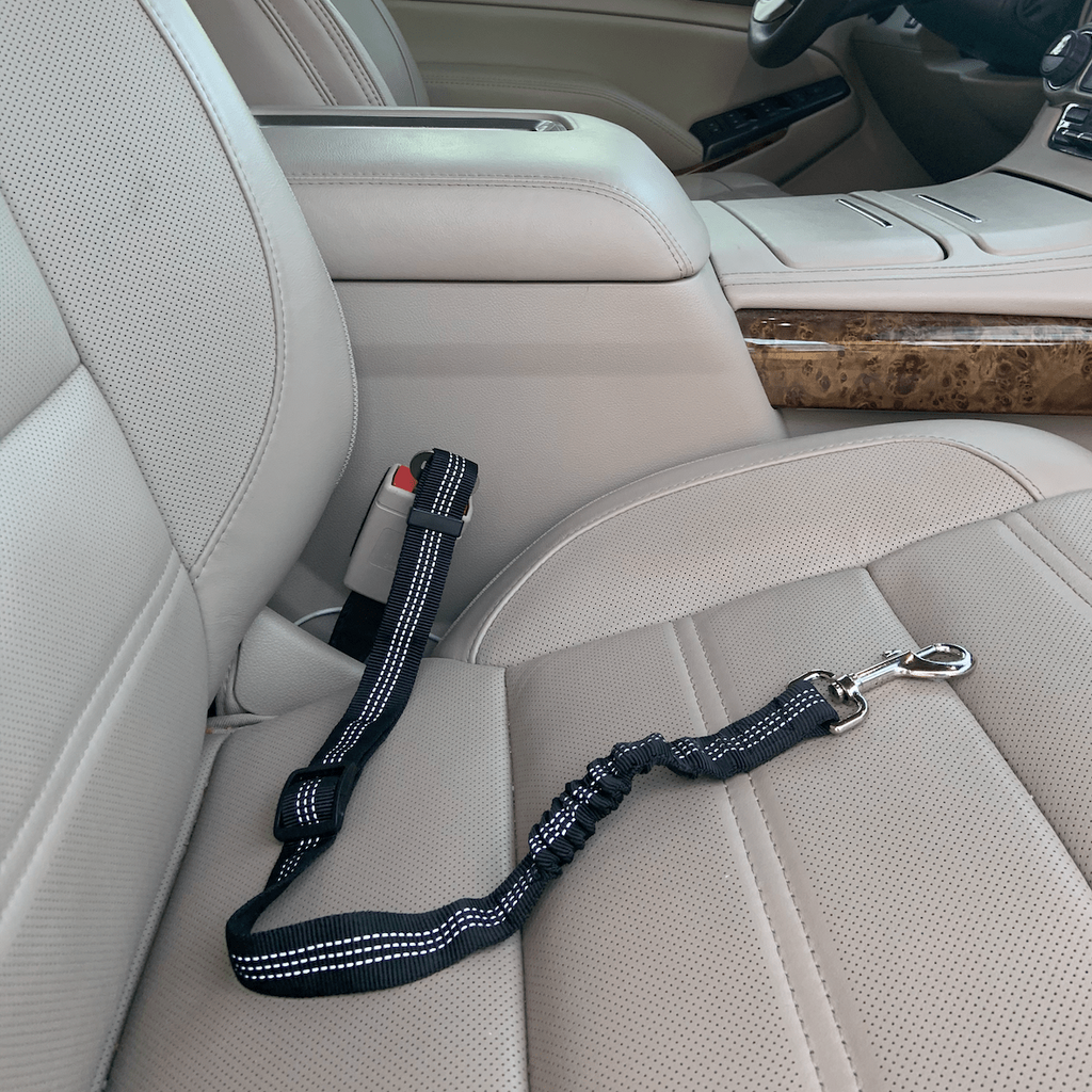 Glamorous Pups : Car Elastic Safety Leash