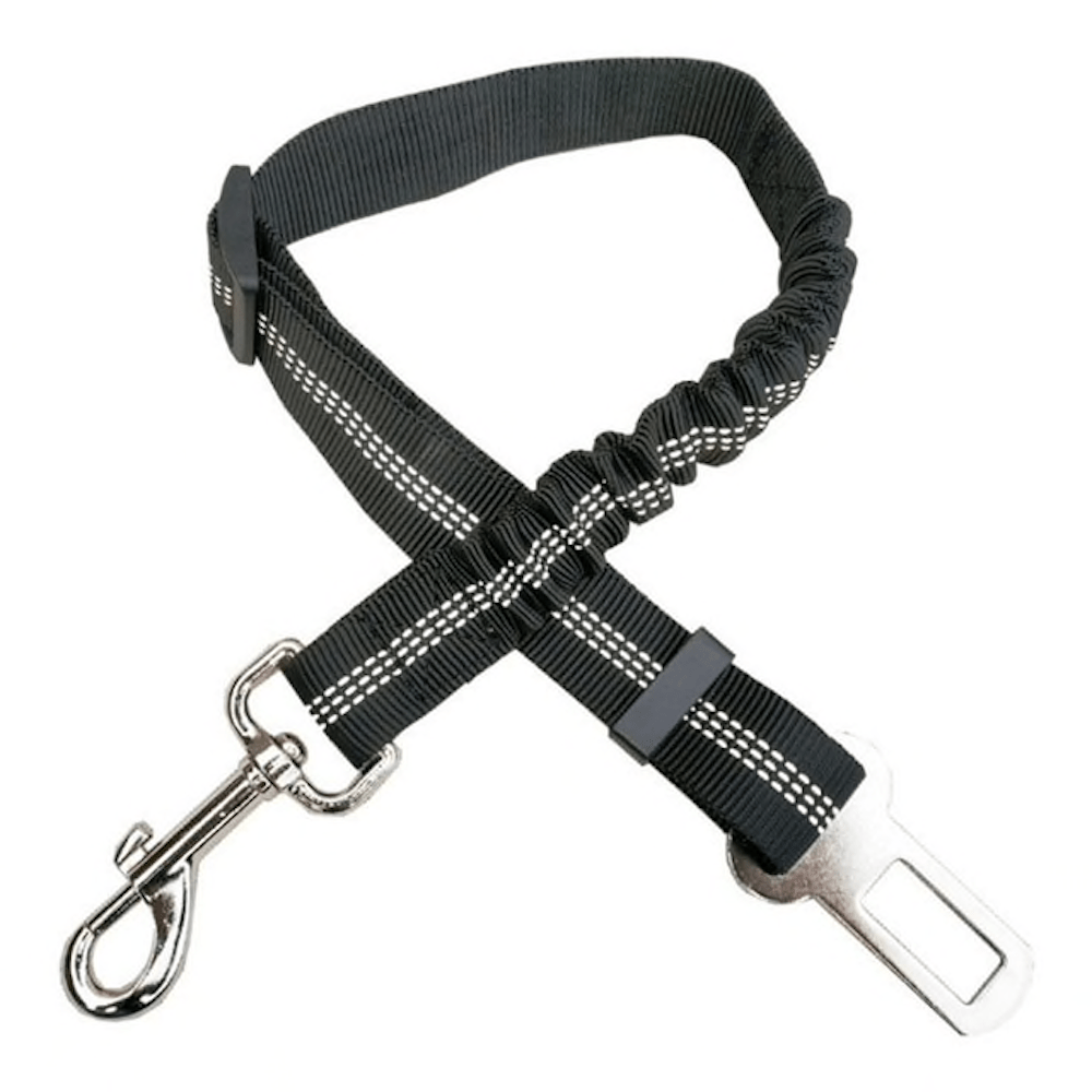 Glamorous Pups : Car Elastic Safety Leash